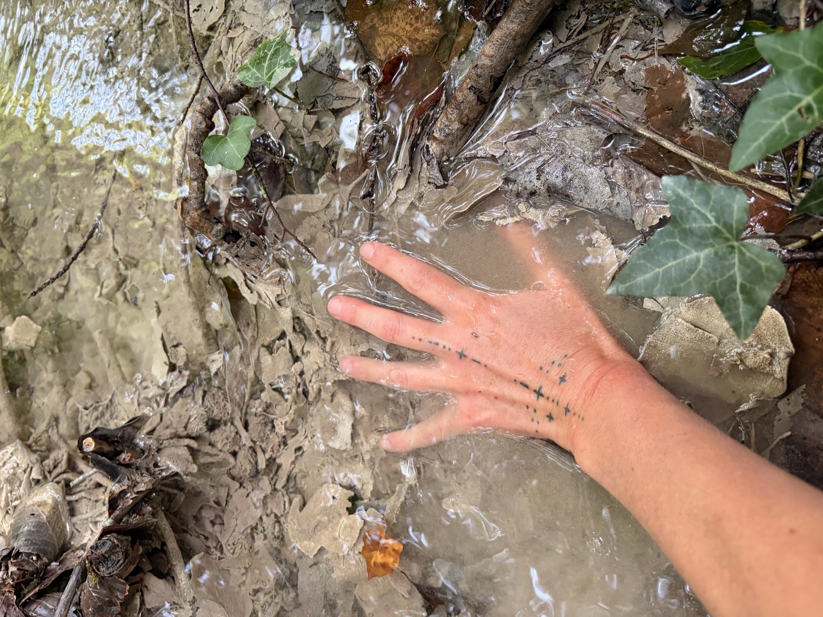 Hand im Bachwasser