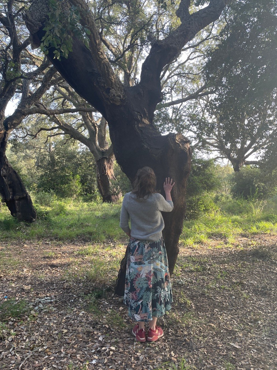 Eine Frau berührt einen alten, mächtigen Baum